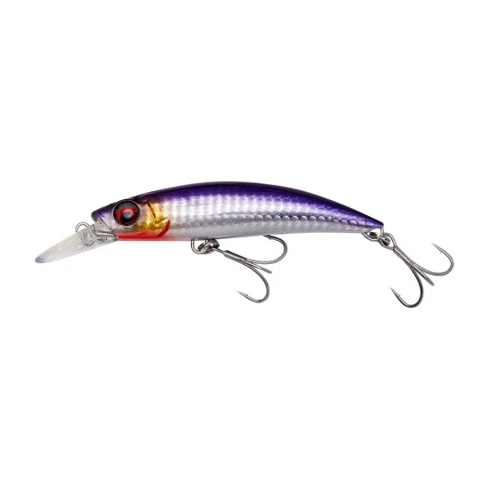 Savage Gear Gravity Runner 10 Cm 37 G Anchois Sanglant à Naufrage Rapide PHP 1 Savage Gear Gravity Runner 10 Cm 37 G Anchois Sanglant à Naufrage Rapide PHP