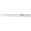 Shimano Yasei BB Pike Cast & Troll 2.50m / 50-120gr