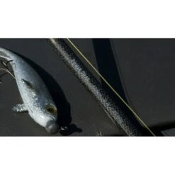 Fox Rage Terminator Casting Canne Big Bait Special 240cm 200g 23 Fox Rage Terminator Casting Canne Big Bait Special 240cm 200g -Team outdoor dsc05009 550x550w 1