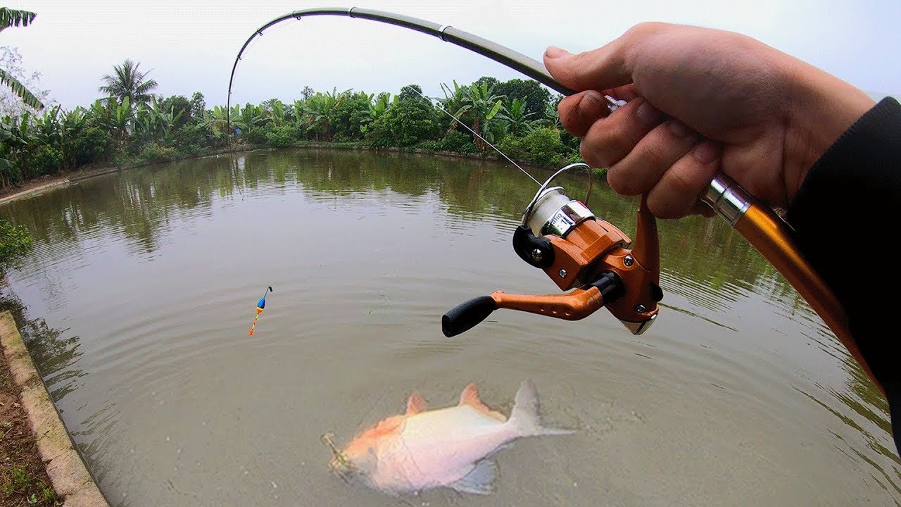 Team outdoor -Team outdoor